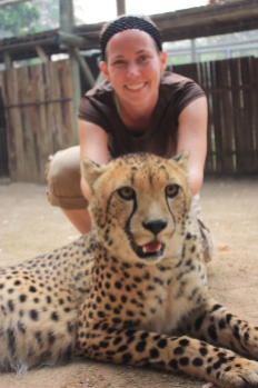 Cheetah visit South Africa